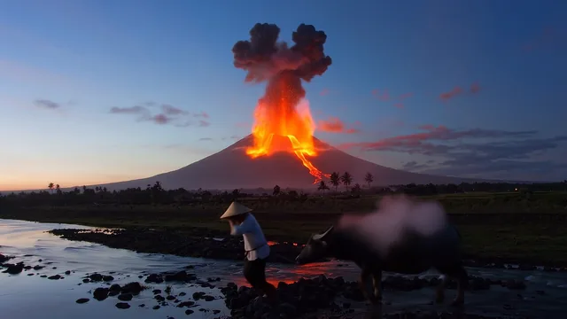 Mayon